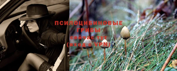 а пвп мука Елабуга