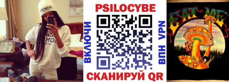 как найти закладки Игарка Псилоцибиновые грибы MAGIC MUSHROOMS
